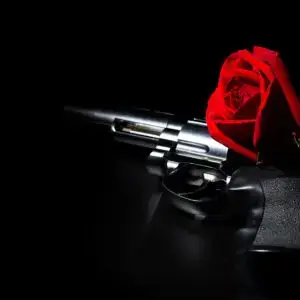 Roses,Red,And,Gun,On,The,Dark,Background